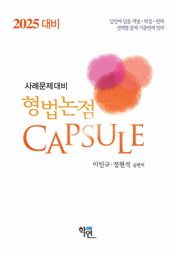 2025 형법논점 Capsule