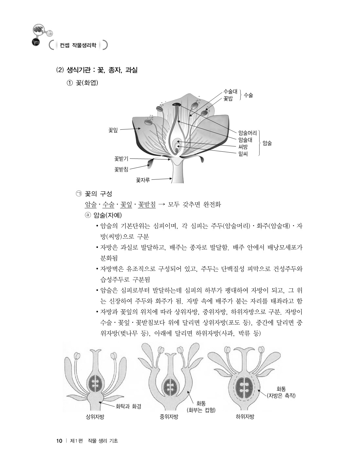 (25) 컨셉 작물생리학_10.jpg