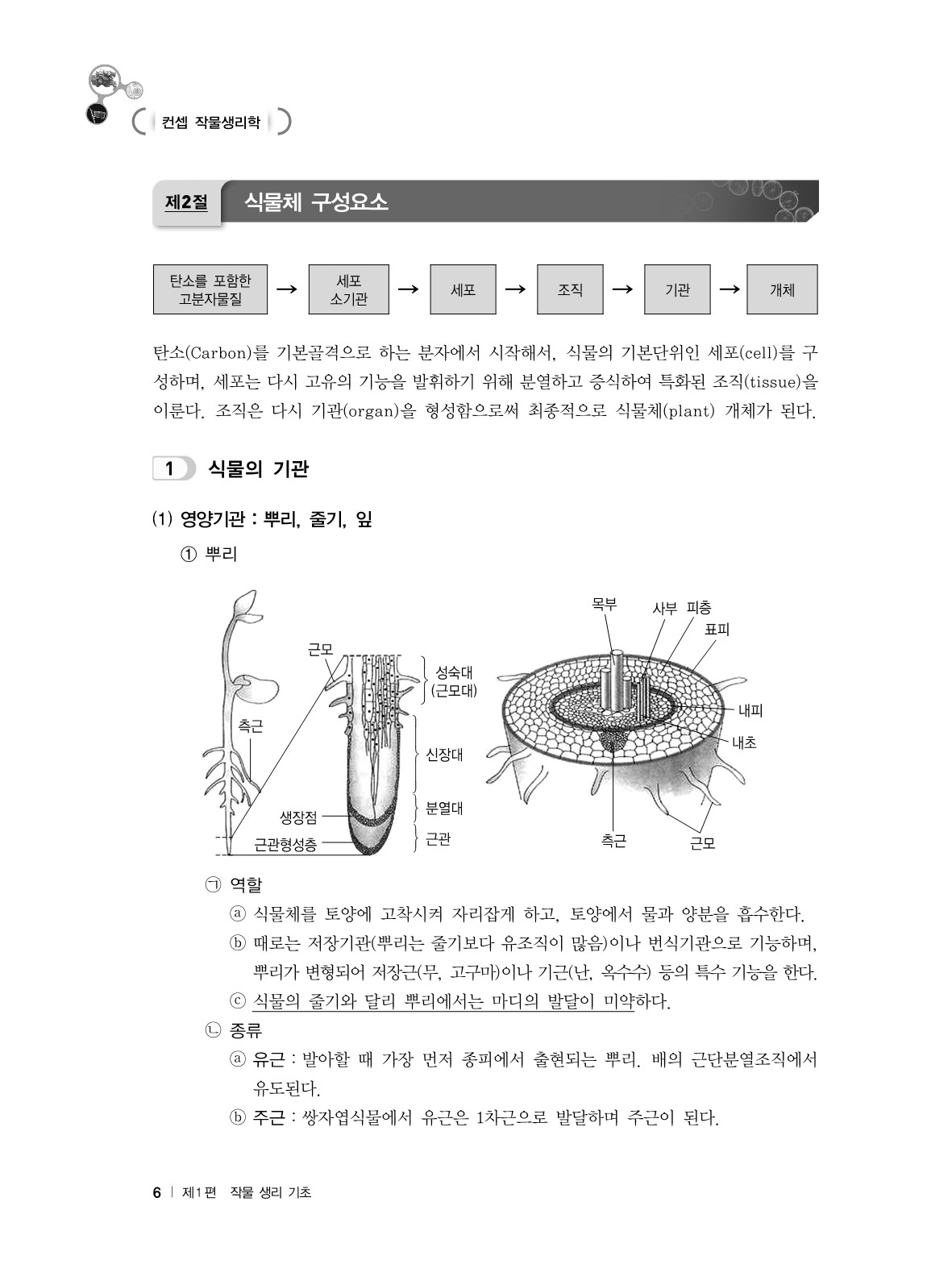 (25) 컨셉 작물생리학_6.jpg